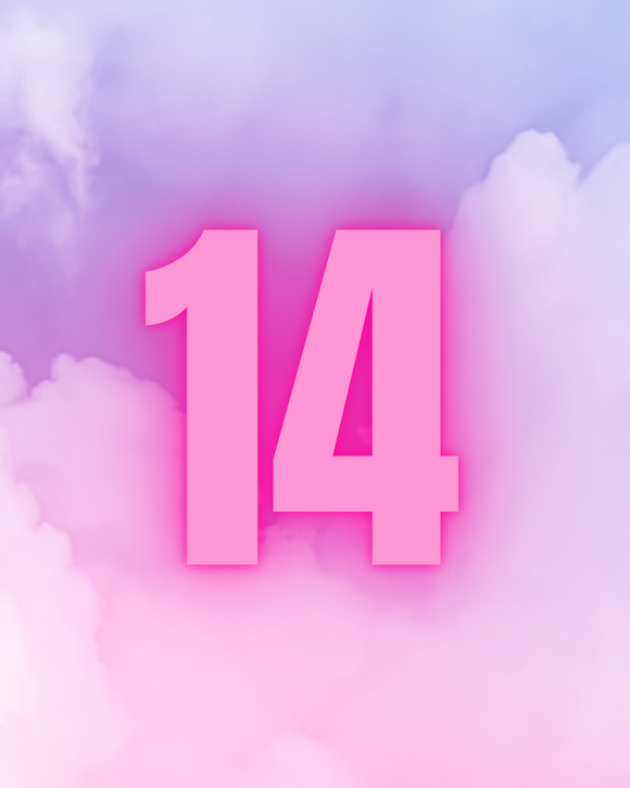 LIVE SHOPPING - NUMERO 14