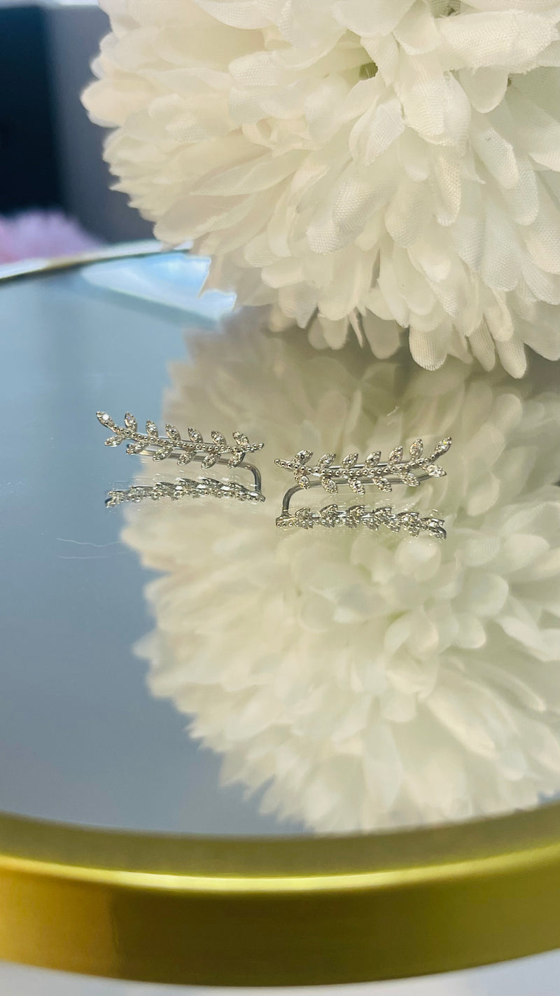 Boucles d’oreilles montantes   Argent