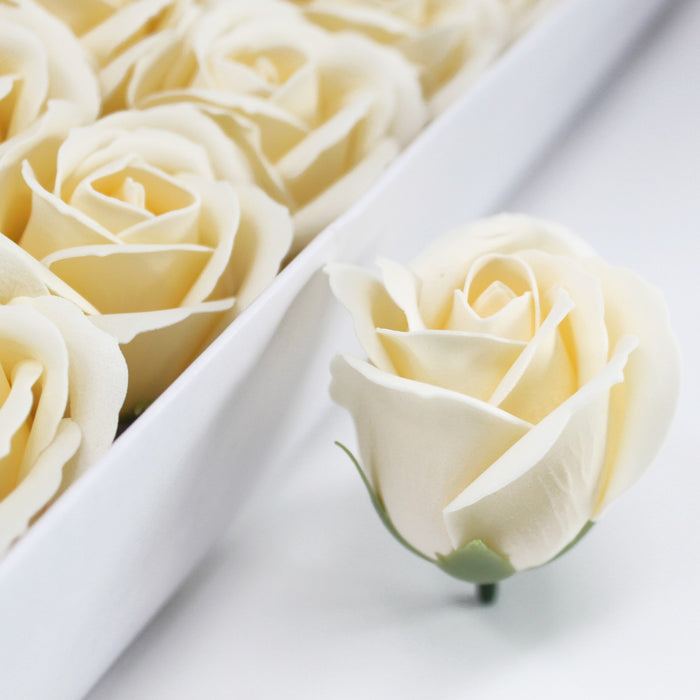 Rose Savon Ecru(petite)