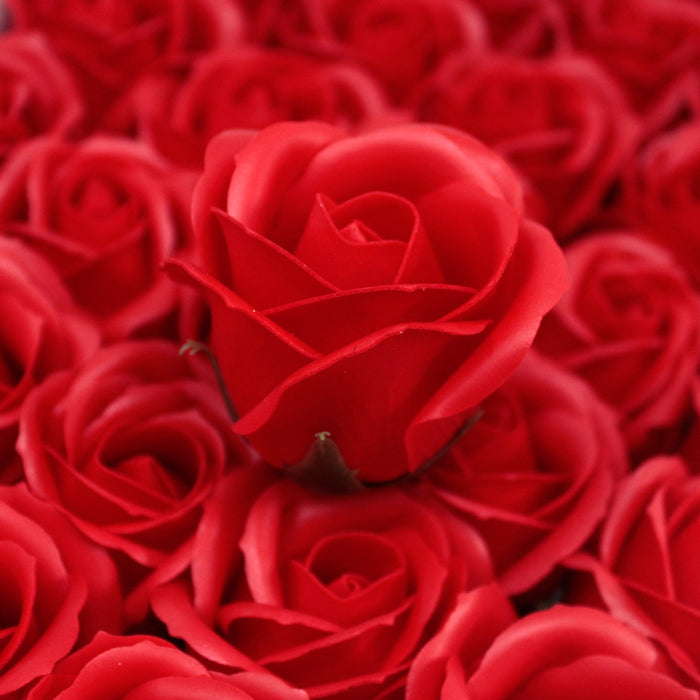 Rose Savon Rouge(petite)
