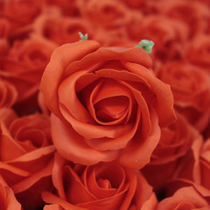 Rose Savon Orange(petite)